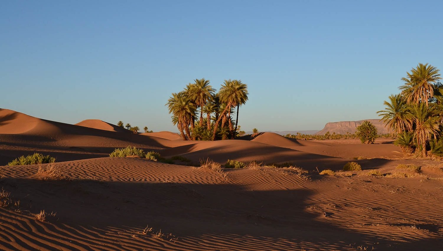 Información sobre la ruta por el desierto de 3 días de trekking