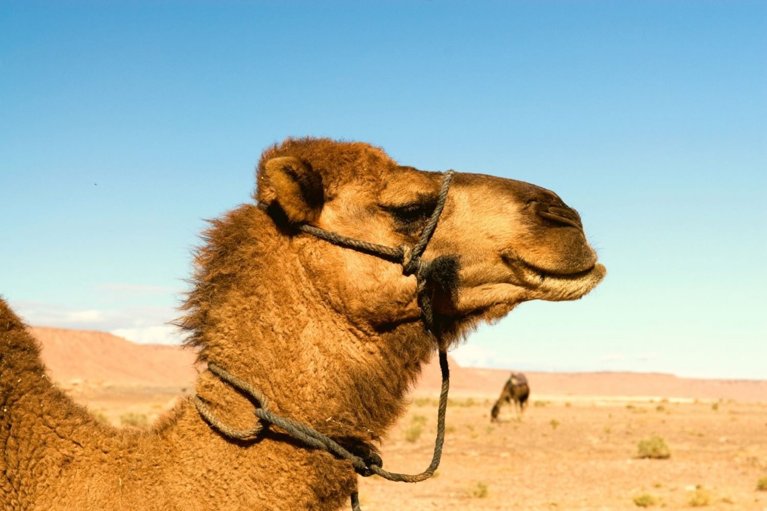 excursión de 3 días al desierto de Merzouga