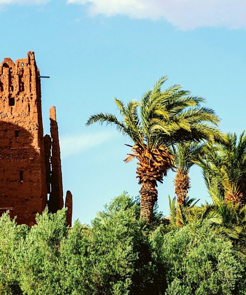 el-desierto-de-zagoura-desde-marrakech