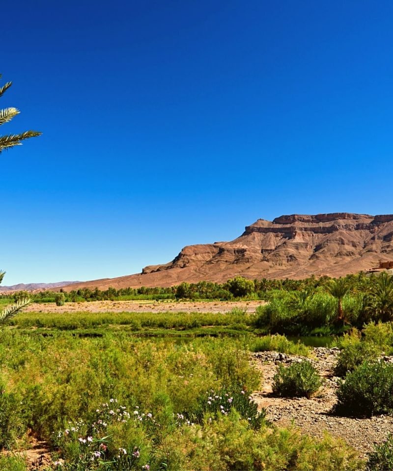 excursion-al-valle-de-draa