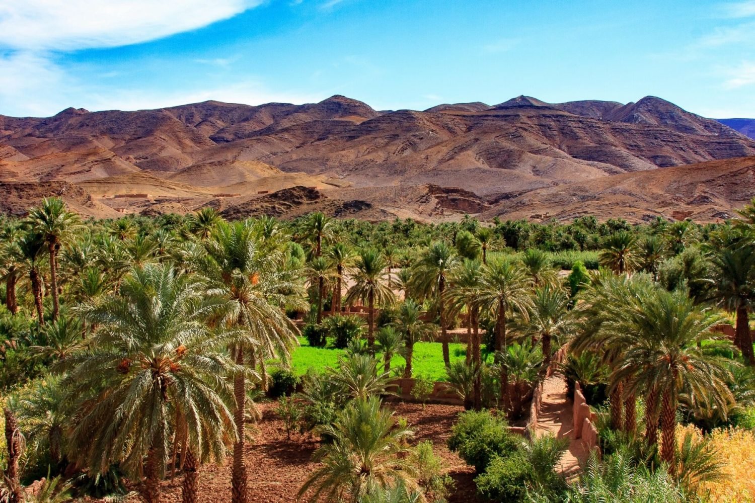 excursion-por-el-valle-de-draa