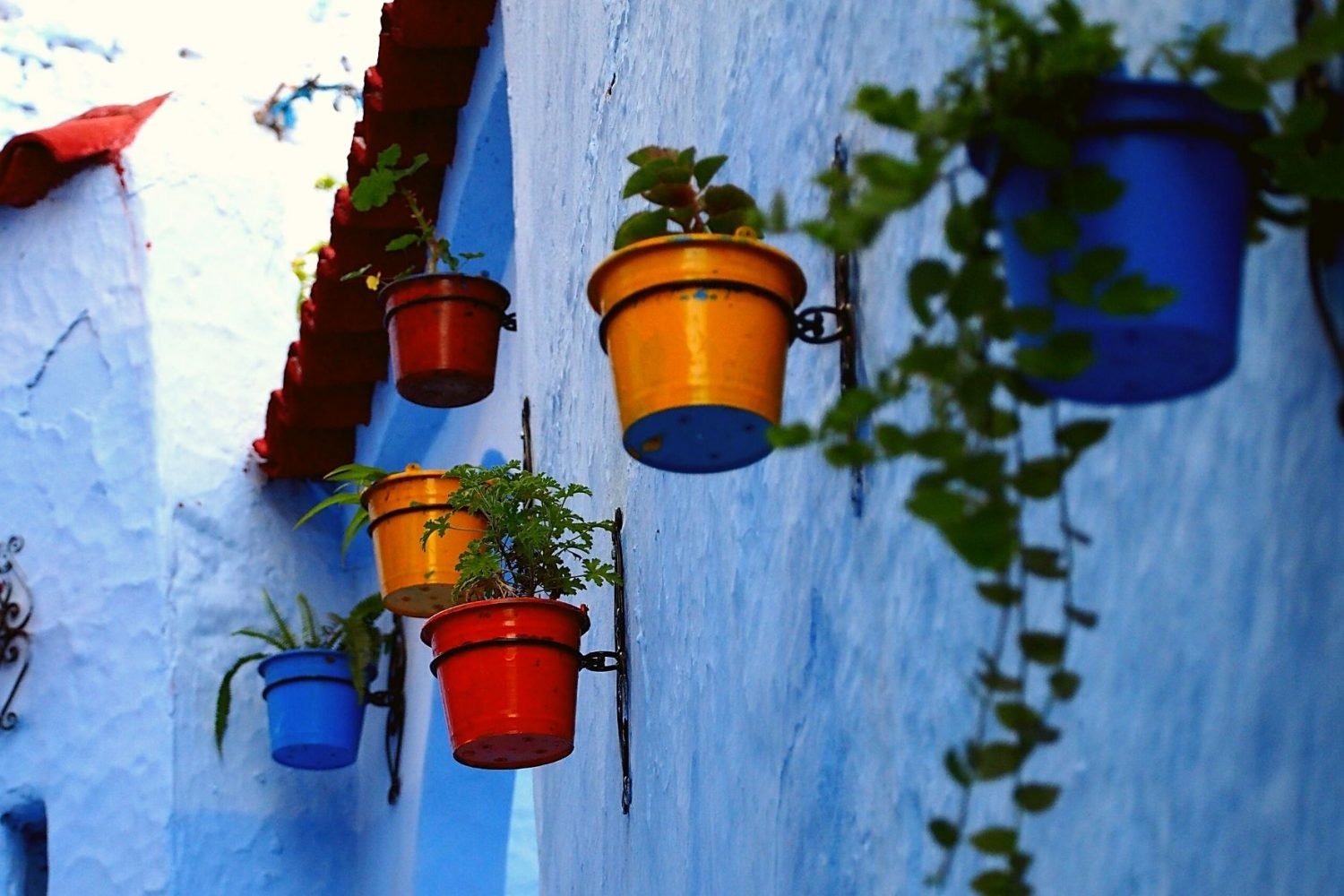 tour por el norte de Marruecos