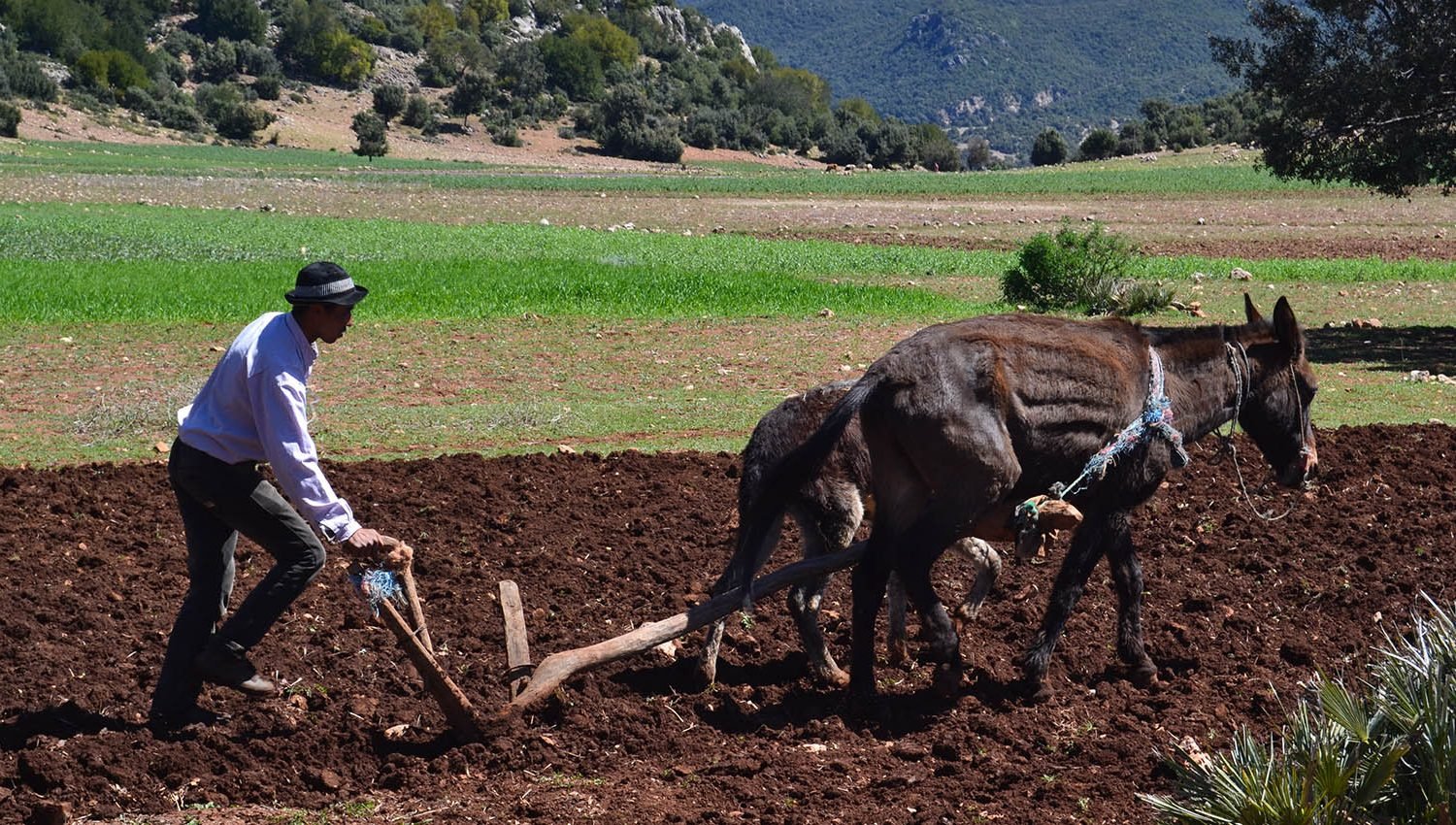 ruta por medio Atlas, senderismo alrededor de fez