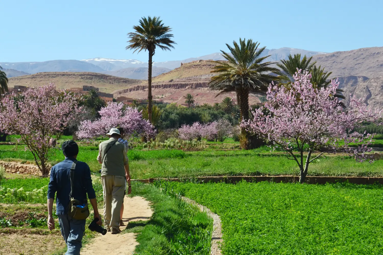 excursion para visitar el valle del todra