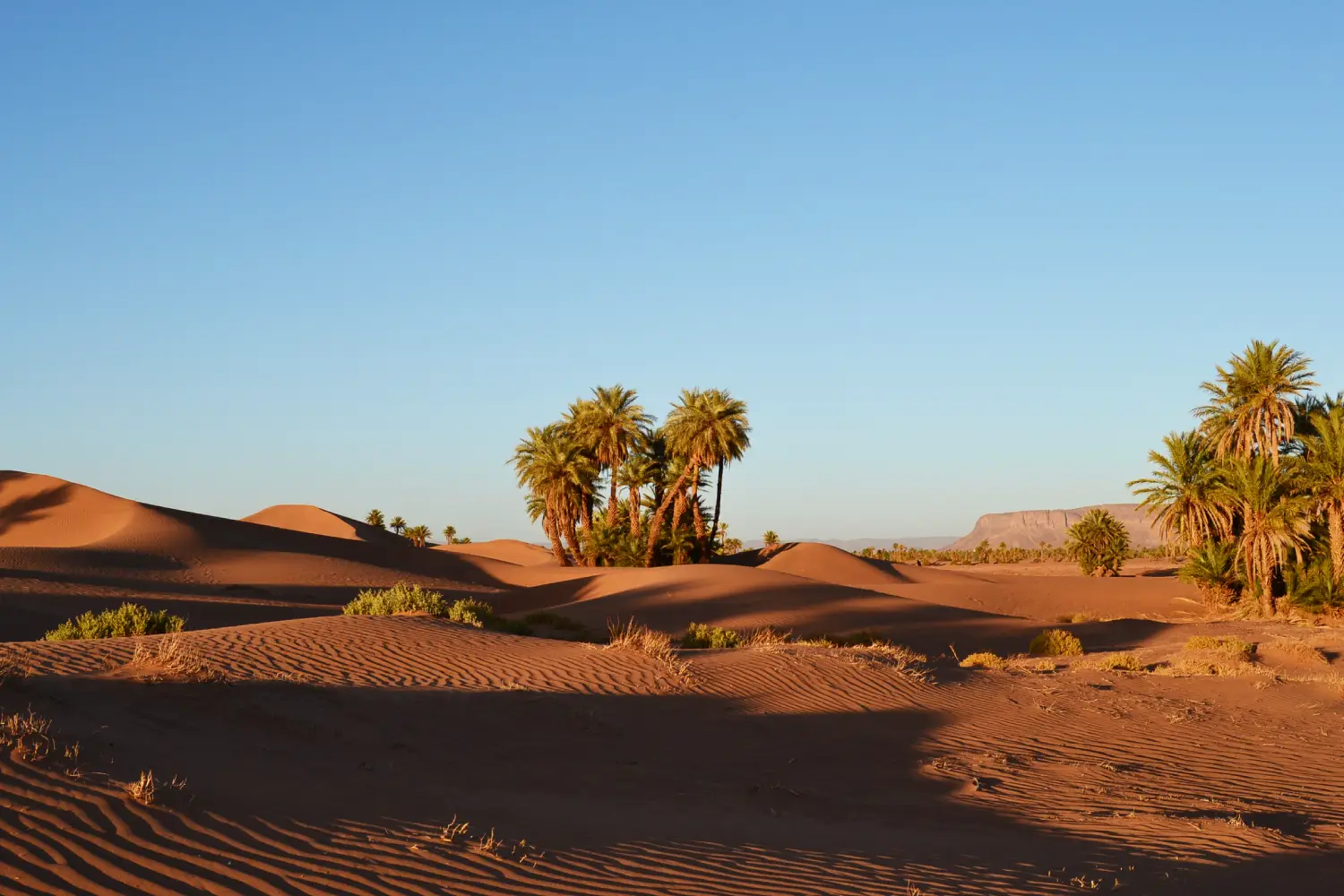 tour por el desierto en Marruecos