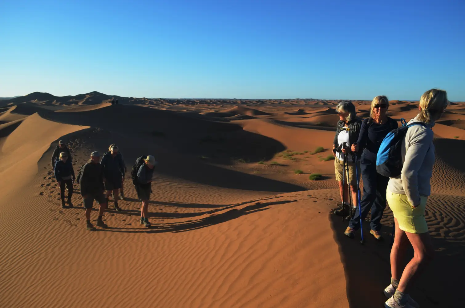 visitar la ciudad de zagora