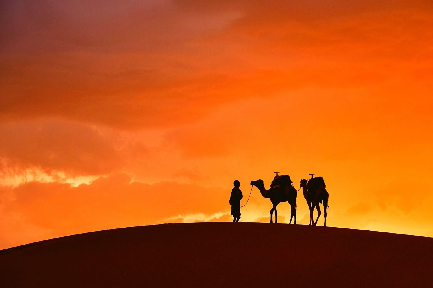 un-paseo-en-el-desierto-en-camello