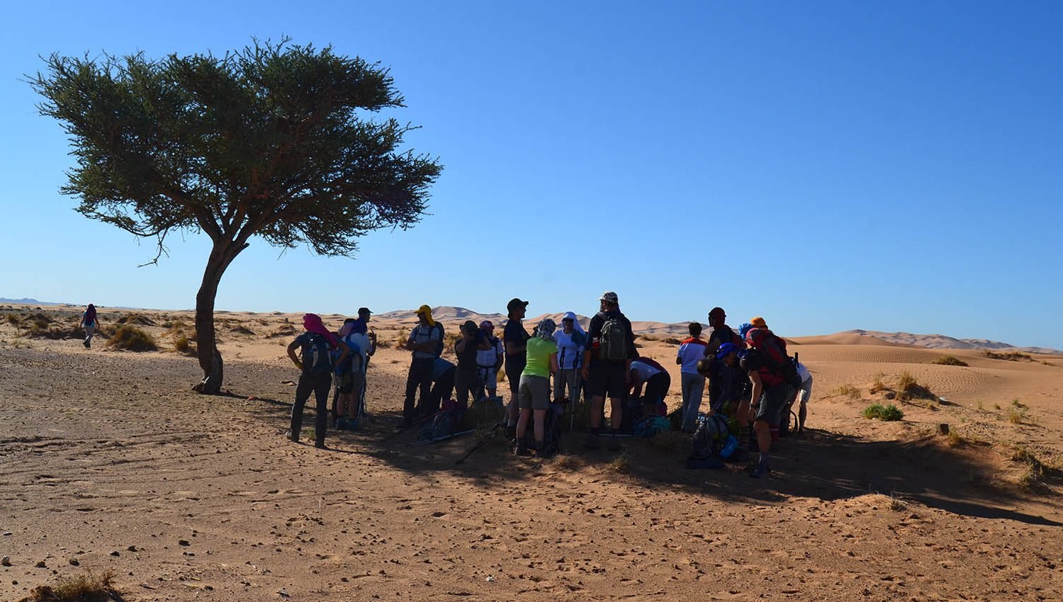 excursione y senderismo por el desierto